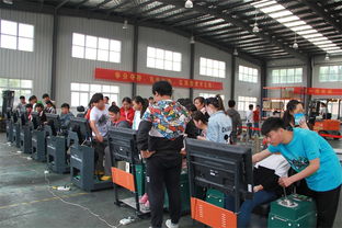 徐州經(jīng)貿(mào)高職舉辦第二屆職教活動(dòng)周暨校園開(kāi)放日，展現(xiàn)職教新風(fēng)貌