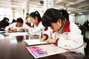 筆墨傳承，青春飛揚(yáng)——2016彭城書(shū)法大賽海選第三站走進(jìn)徐州高級(jí)中學(xué)