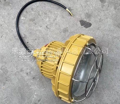 220wled防爆燈 固態(tài)免維護防爆led燈 廠家圖片