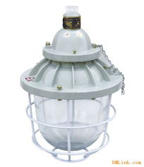 防爆照明解決方案 從BCD到BAD56系列防爆燈與隔爆技術(shù)的深度解析